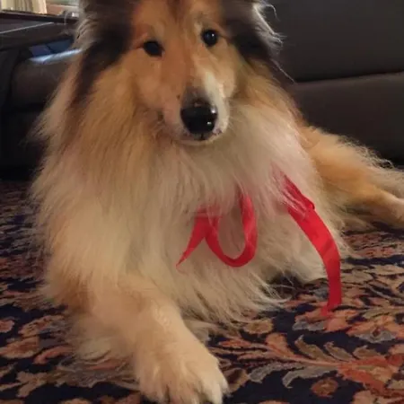 Hotel L'essenza Olbia