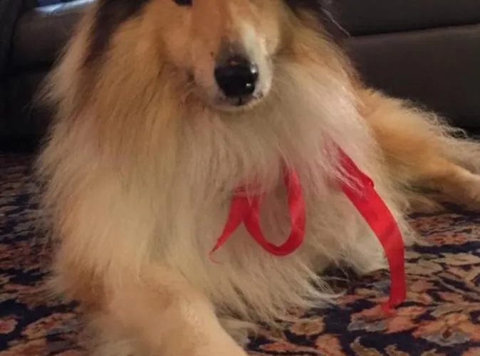 Otel L'essenza Olbia