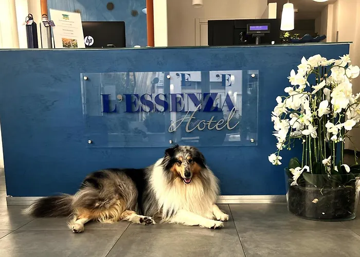 Hotel L'essenza Olbia
